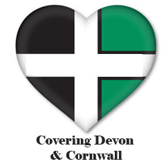 Plymouth | Devon | Cornwall | Timber Surveys | Damp Surveys | Woodworm Surveys | Rising Damp | Condensation | Mould | Wet Rot | Dry Rot