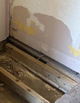 Timber Surveys Bodmin, Woodworm Surveys Bodmin and Timber Treatments Bodmin Cornwall, South Hams and South West Wall Coatings Timber Survey Specialists Timber Survey Bodminx | Timber Survey Cornwall | Timber Survey South Hams | Timber Surveyors