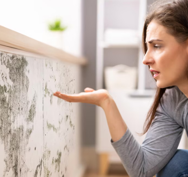 Damp Proofing | Damp Proofing Devon | Damp Surveys | Damp Surveys Devon |  Dampproofing Devon | 