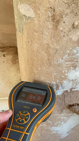 Timber Survey Totnes | Timber Survey Devon | Timber Treatment Totnes | Timber Treatment Devon 