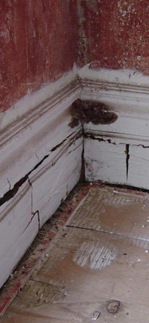 Dry Rot Surveys Plymouth Devon Cornwall | Dry Rot Treatments | Timber Treatments Plymouth Devon Cornwall | Timber Surveys Plymouth Devon Cornwall
