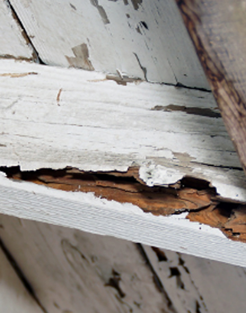 Wall Tie Replacement, Cavity Wall Tie Inspections  South Devon | Wall Tie Surveys, Cavity Wall Tie Inspections Devon 