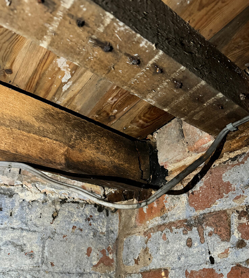Dry Rot Surveys Totnes Devon | Dry Rot Treatments Totnes Devon | Wet Rot Treatments Totnes Devon | Timber Surveys Totnes Devon 